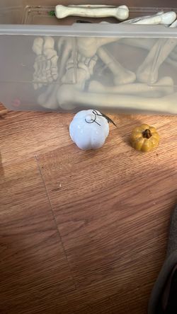 Halloween Decor