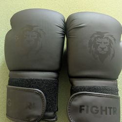 Fightr Boxing Gloves 