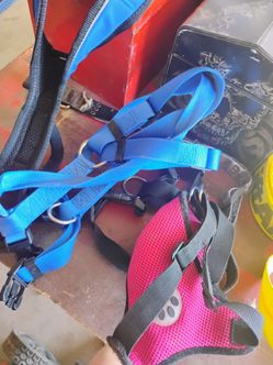 harness collars