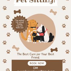 Pet Sitting