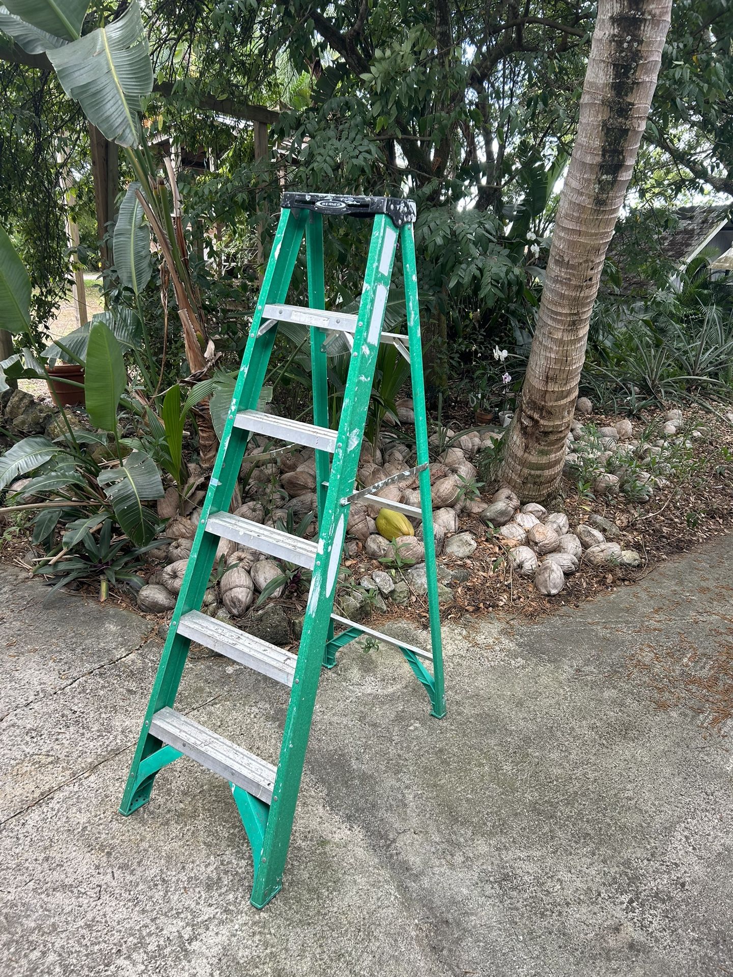 Ladder