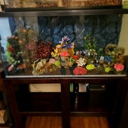 Fish Tank 64 Gal. Full Set Up