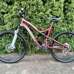 Large Trek FSR Mtn Bike