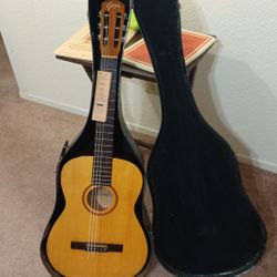 Goya G10 Guitar With Original Case 