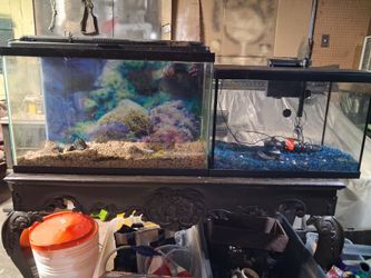 30 gallon fish tank and a 55 gallon  tank