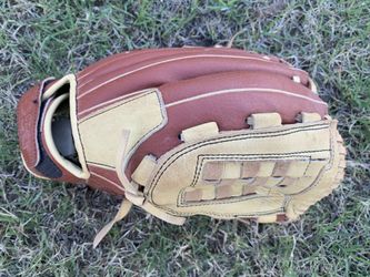 DSG 13” Softball Glove