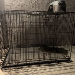 Dog Cage
