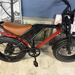 Electric Bike 