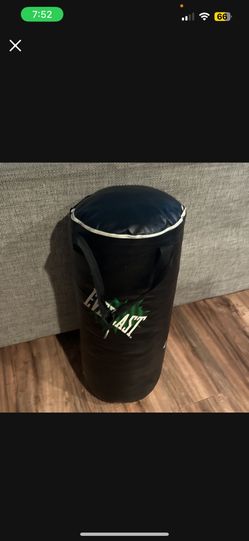 Everlast Punching Bag