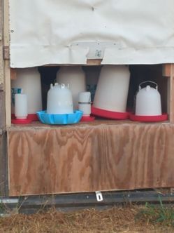 Poultry Waters