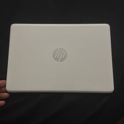 Hp Computer 