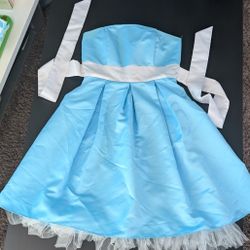 Alice In Wonderland Dress