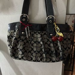 Black Coach Bag