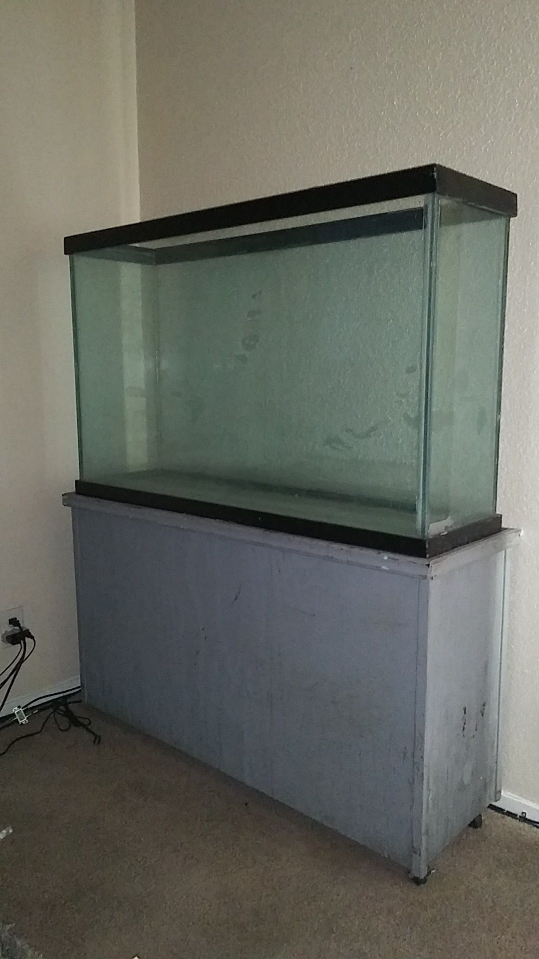 Reptile tank wit stand. Must go