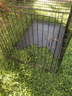 Dog Kennel Large 50”