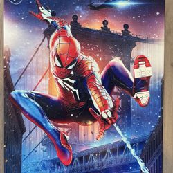 Spider-Man Art 