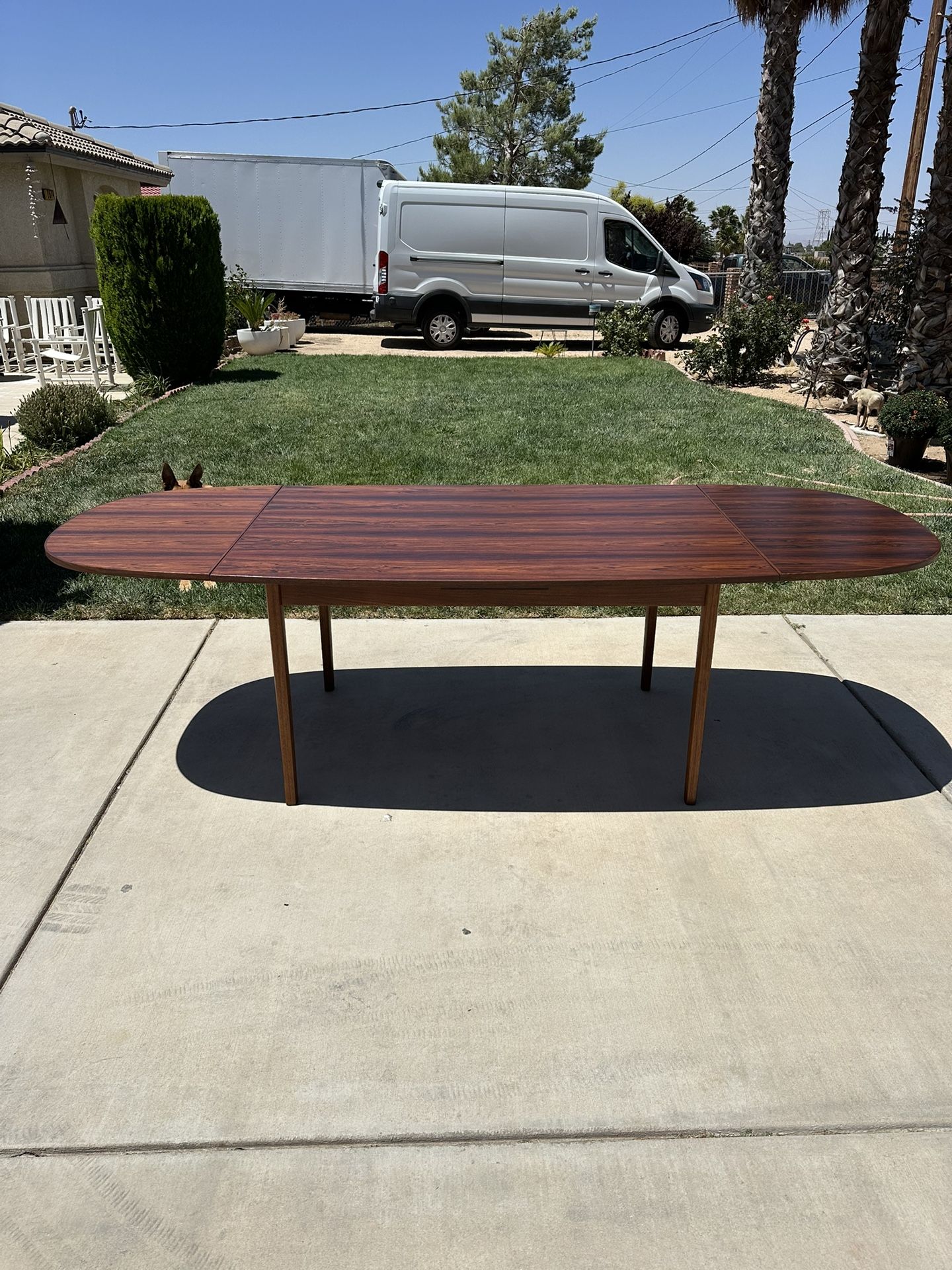 Mid- Century Modern Rosewood Dining Chairs