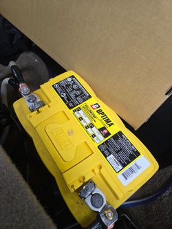 Optima yellow top 48 group size