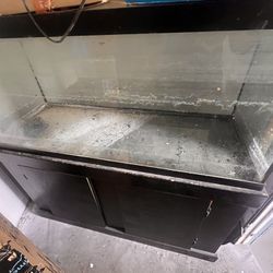 75 Gallon Fish Tank For Sale 