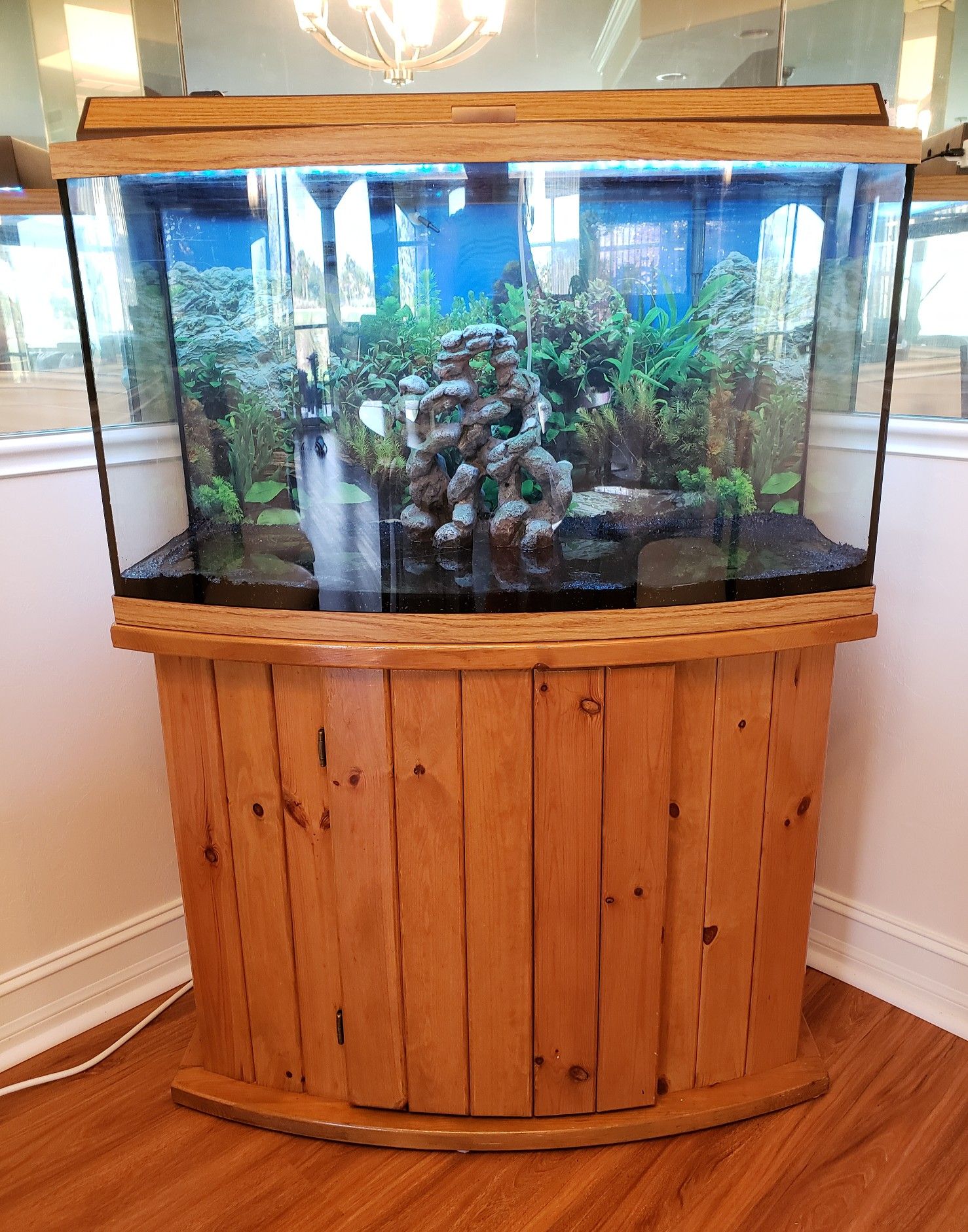 40 Gallon Bow Front Aquarium Free | clc.cet.edu