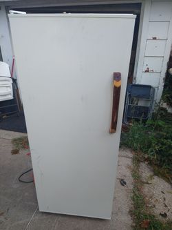 Dorm or garage fridge