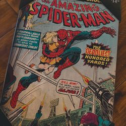 Spider-Man Wall Art