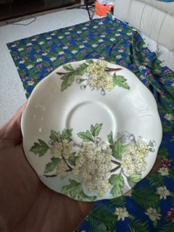 Royal Albert Proci
