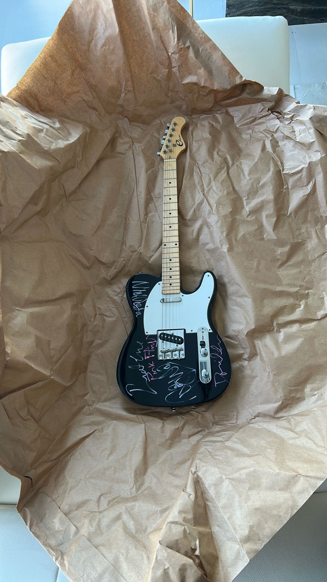 Eleca Electric Guitar Signed By Pink Floyd