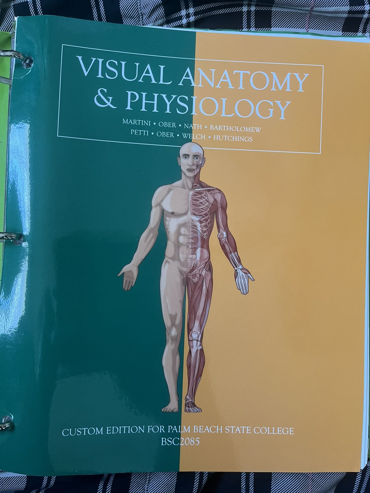 Visual Anatomy & Physiology Loose Book & Worksheets