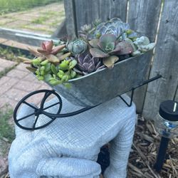 Succulent Wheel Barrow 