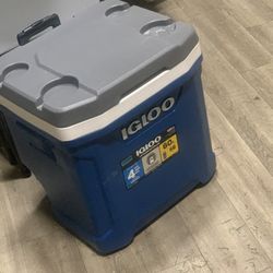 Igloo Coolers 