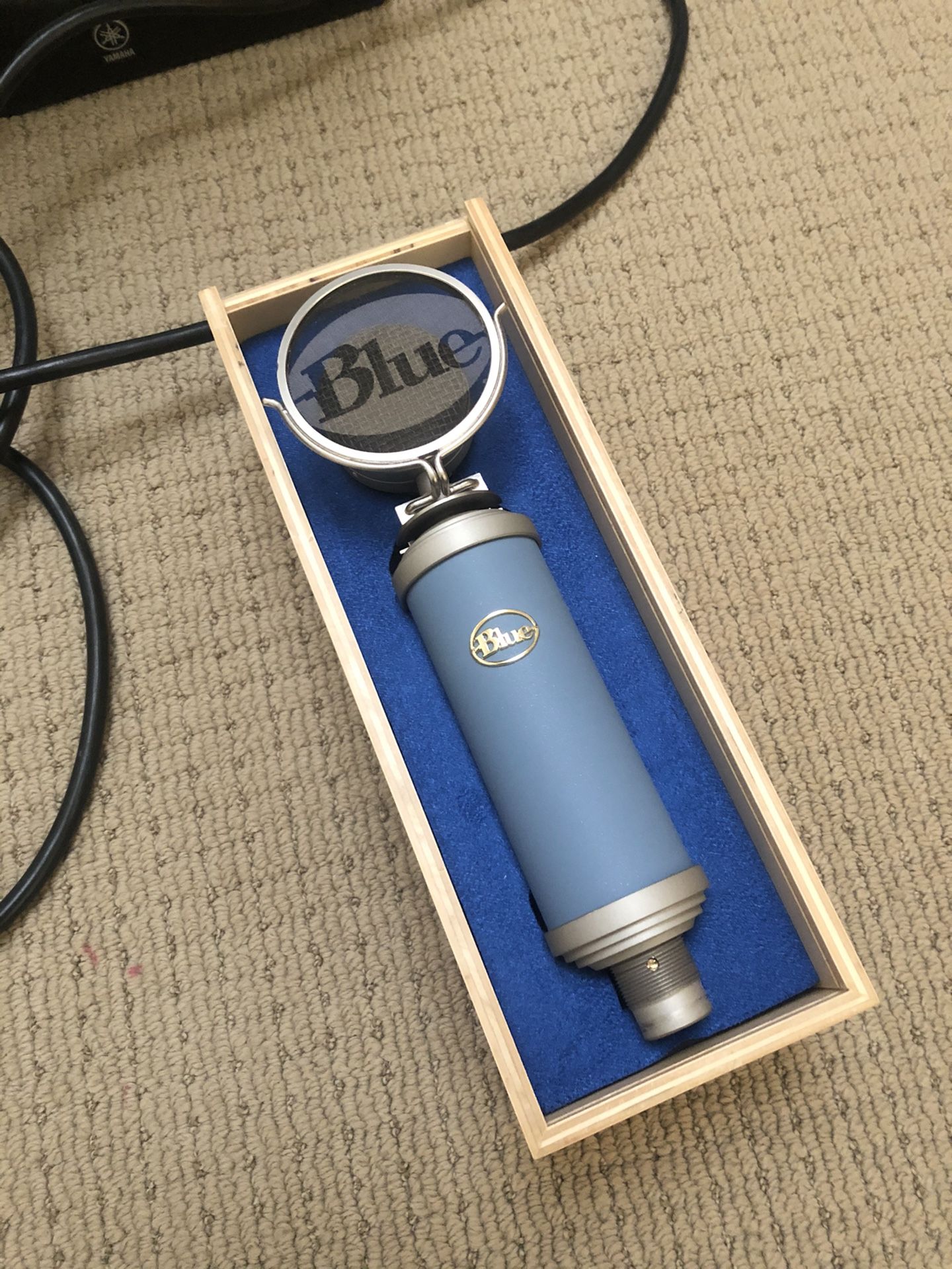 Blue Bluebird microphone