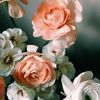 💐💐❤️💕💕❤️💐💐