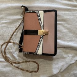 Pink ALDO Purse