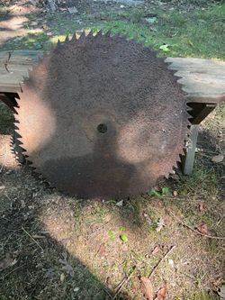 Vintage 24” logging buck saw blade