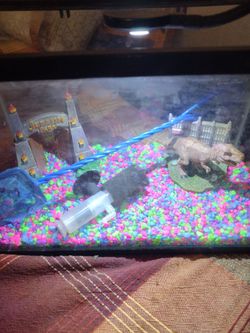 Aquarium