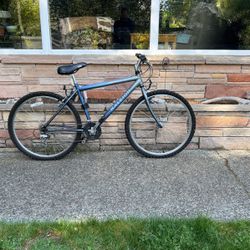 Raleigh M40 Mountain Bike