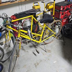 Adult Bikes
