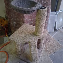 Cat tree. Cat tower. Cat scratcher. Cat bed. Cat condo. Cat post