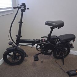 Adult E-Bike