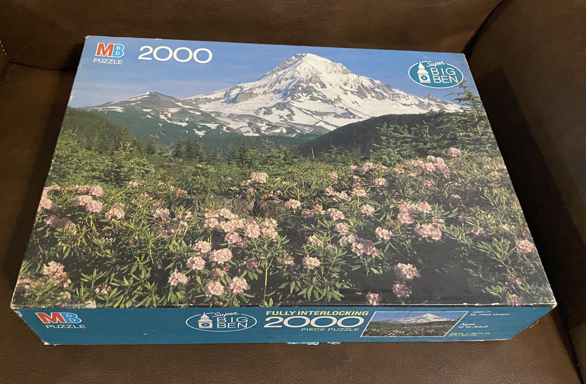 2000 Piece Puzzle