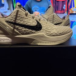 All Star Sail Kobe’s 6