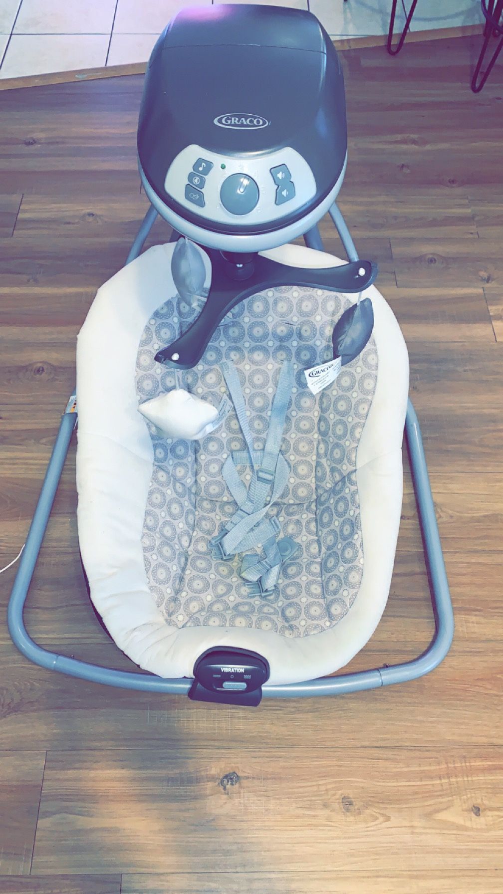 Graco Baby Swing