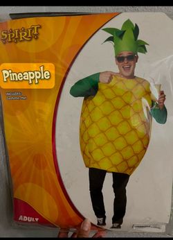 Pineapple Halloween Costume  Buy  today for $15!
