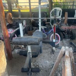 Weights 