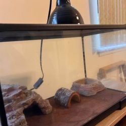 10 Gallons Reptile Terrarium tank w/ lid size is 20x10×13 everything in the photo is included