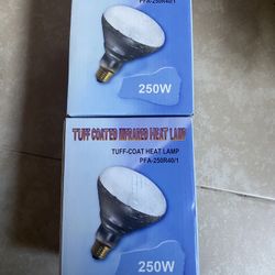 Heat Lamps 250 Outdoor And Indoor