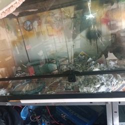 Terrarium Tank 