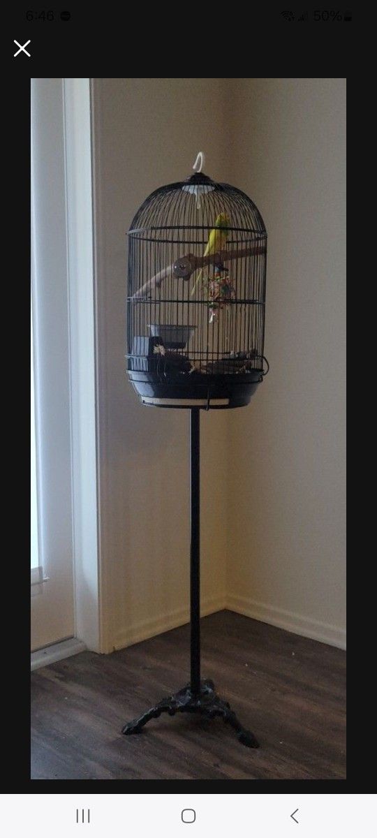 Bird Cage