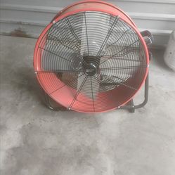 Fan